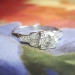 Art Deco 1930's .77ct t.w. Old European Cut Diamond Engagement Ring Platinum
