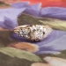 Vintage Retro 1940's .11ct t.w. Old Transitional Cut Diamond Engagement Ring Two Tone 14k Palladium
