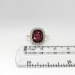 Antique Victorian 1890's 5.84ct t.w. Cushion Garnet & Old Rose Cut Diamond Halo Ring 18k Platinum
